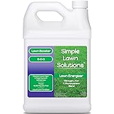 Commercial Grade Lawn Energizer - Grass Fertilizer Booster with Nitrogen, Iron, Micronutrients - Liquid Turf Spray Concentrated Fertilizer- Any Grass Type - Simple Lawn Solutions (1 Gallon)