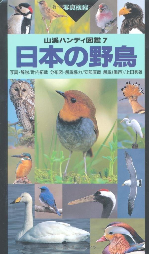 Amazon Fr 日本の野鳥 山渓ハンディ図鑑 Livres