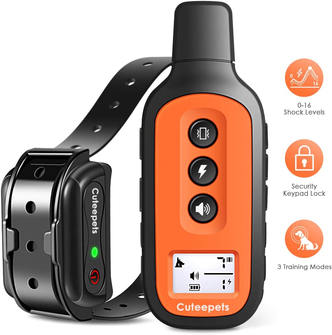 persian rescue cats for sale