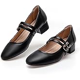 hingswink Mary Jane Shoes Women Double Straps 2 Inch Low Heels Dress Shoes Chunky Heels Closed Toe Pumps for Women Comfortable Dressy, PU Black9.5