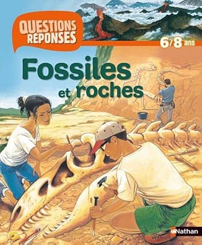 Download FOSSILES ET ROCHES (AVEC PRIME PDF