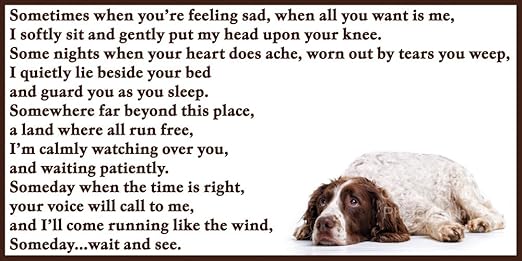 Diseño de perro con duelo de mascotas de juguete con pérdida ...