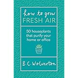 How To Grow Fresh Air: 50 Houseplants That Purify Your Home Or Office