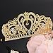 Whitelotous Silver Plated Diamond Jewelry Bride Crown Tiara Bride's Headdress (Gold)