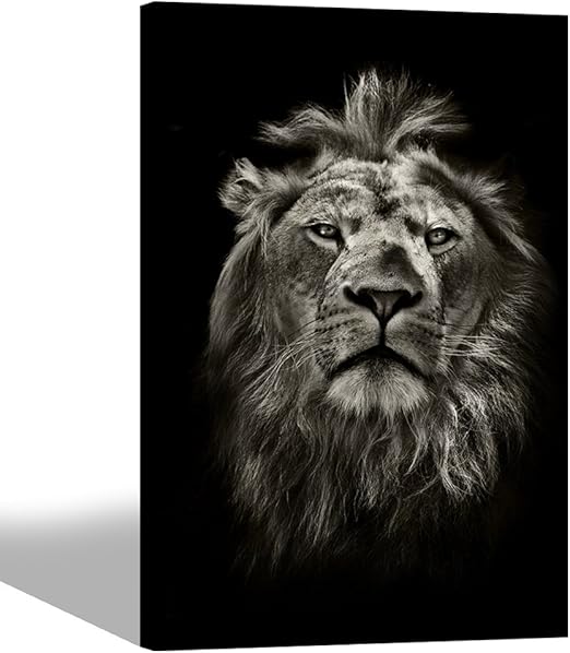 Amazon Com Sea Charm Black And White Lion Canvas Wall Art