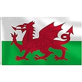 Wales Flag 3x5 FT Heavy Duty Welsh Flag Double Stitched Vivid Color Fade Proof Outdoor Decor With Brass Grommets(Wales)