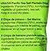 Samai Plantain Chips, Pacific Sea Salt, 5 Ounce (Pack of 8)