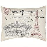 Elysee Stencil Paris Pillow 14x18