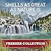 Old Spice Fresher Collection Men's Body Wash, Timber, 16 Fluid Ounce