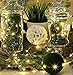 LXS Battery Operated Fairy Lights 10 Sets of 2M /20 LED,Amazingly Bright - Ultra-Thin Flexible Easy to Wrap Silver Wire for Halloween Christmas Wedding Party,Fairy Light Effect(10PCS-Warm White)