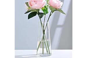 WellSign Clear Glass Vases for Flowers Decor, 8 Inch Modern Ins Boho Handmade Vases for Centerpiece Table Home Indoor Decor, Ins Boho Style Vase for Wedding Housewarming and Thanksgiving Day Gift