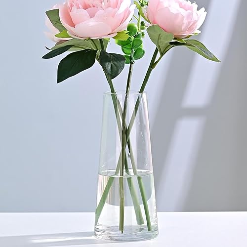 WellSign Clear Glass Vases for Flowers Decor, Inch Modern Ins
