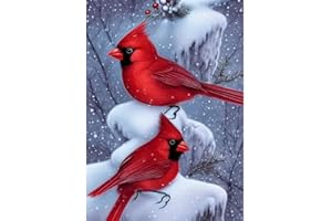 JFYHAB Diamond Painting Kits for Adults, Cardinal 5D DIY Diamond Art Kits for Beginners Round Full Drill Birds Diamond Painting for Home Wall Decoration Gift 12×16inch