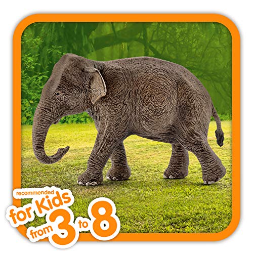 schleich 14753 Asiatische Elefantenkuh, für Kinder ab 3+ Jahren, WILD LIFE - Spielfigur – Bild 2