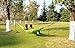 Hammock Tree Straps, 40 Loops& 20 ft Long Combined, 2000 LBS Heavy Duty, Lightweight, Easy Setup, Fits All Hammocks (Green,20+1)