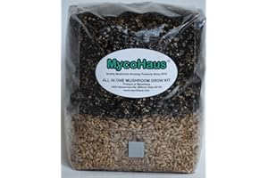 MycoHaus 2 PACK All in One Bag Mushroom Grow Bags with Injection Port 5lbs
