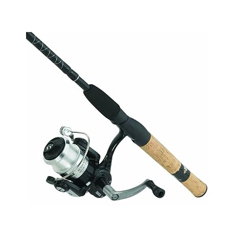 zebco rod and reel
