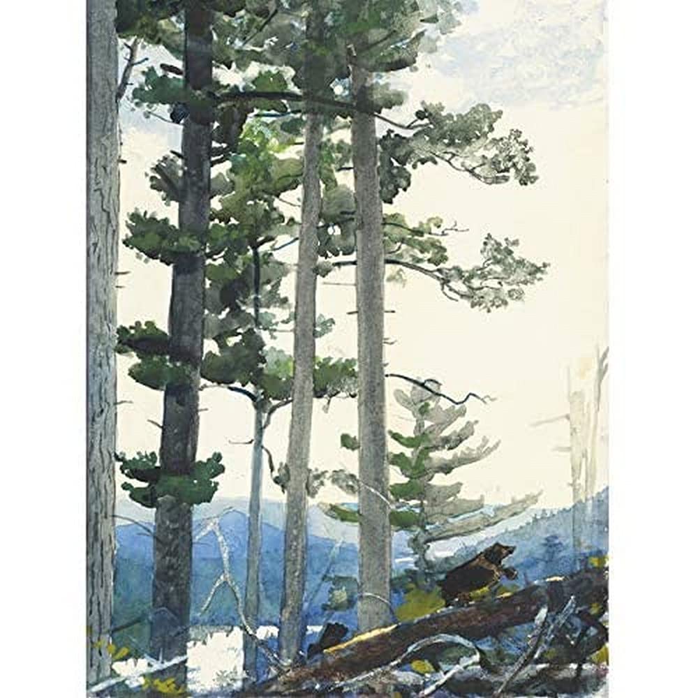 Winslow Homer Old Settlers Art Print Canvas Premium Wall Decor Poster Mural