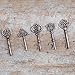50 Key Bottle Openers, Assorted Vintage Skeleton Keys, Wedding Party Favors (50, Antique Copper)