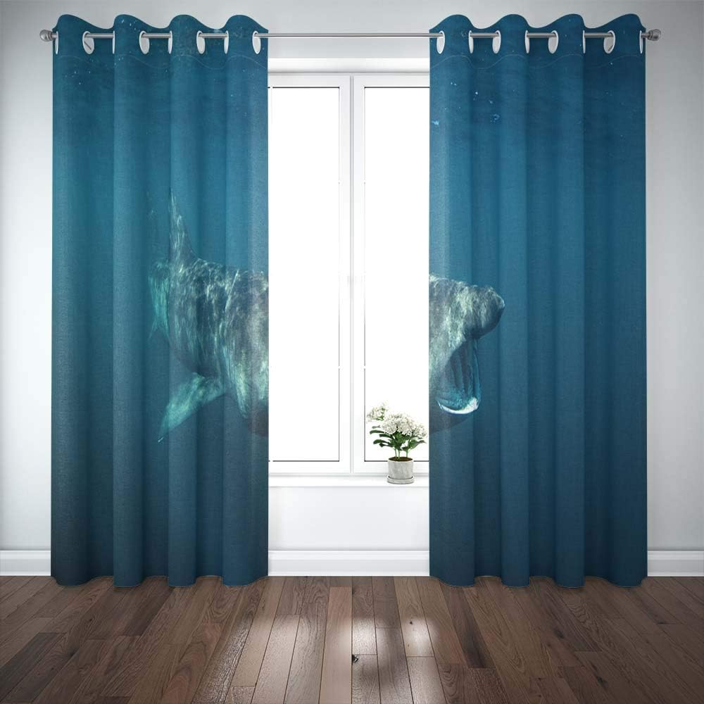 Shorping Window Curtains, Window Panels Sliding Blackout Curtains Shark Island Scotland Cetorhinus Maximus Coll Country Shower Curtain for Bedroom 52X63 Inches,2 Pc