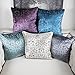 Homey COZY Modern Velvet Throw Pillow Cover (Plum)
