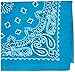 Carolina HAV-A-Hank Paisley Bandanna 22