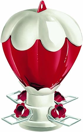 Amazon Com Cherry Valley Feeder 32 Ounce White Top Balloon