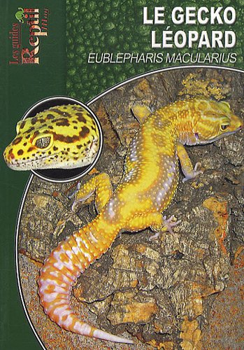 Le  Gecko léopard