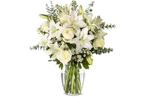 From You Flowers - With All Our Sympathy Lily Arrangement with Glass Vase | Fresh Flower Bouquets for Birthday, Anniversary, Get Well or Celebration