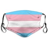 Comfortable Windproof mask，Transgender Pride Flag，Printed Facial decorations for adult