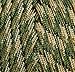 TOUGH-GRID 750lb Forest Camo Paracord/Parachute Cord - Genuine Mil Spec Type IV 750lb Paracord Used by The US Military (MIl-C-5040-H) - 100% Nylon - 200Ft. - Forest Camo