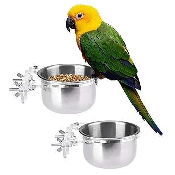 Nobrand Parrot Bowl Bird Food Water Feeder Bird Round