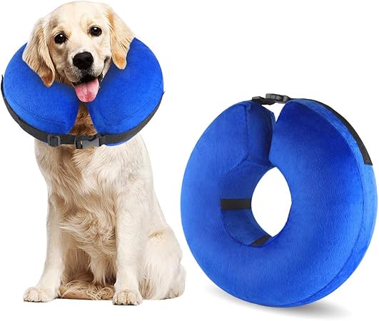 e cone for dogs