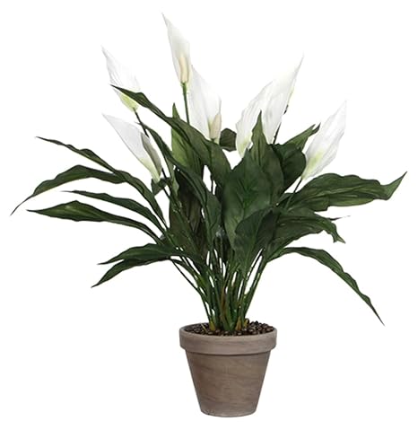 MICA Decorations 947789 Blumen, Anthurium und Spathiphylum, weiß