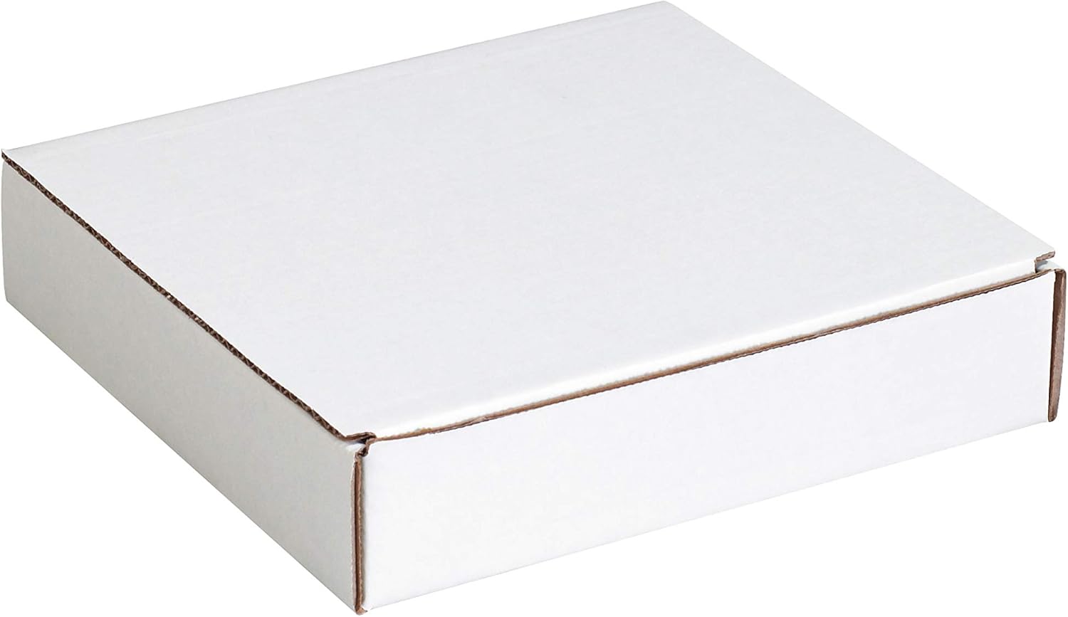 BOX USA BML982 Literature Mailers, 9" x 8" x 2", White (Pack of 50): Industrial & Scientific