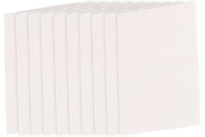 Pack of 10 Water Activated Expanding Pulp Sheets Painting Paper Safe for Craft Cartoon Designs for Creative Project Art