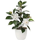 Briful Artificial Plants Mini Camellia Potted Fake Plants Small Faux Plastic Plants Desk Plant Artificial Flowers with Vase for Home Office Desk Kitchen Garden Indoor Decor