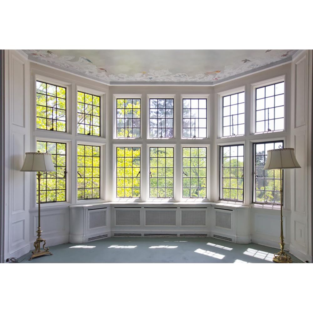 YongFoto 8x6ft Photography Backdrop Interior European Building French Sash Sunshine Nature Autumn Scene Photo Background Backdrops Photography Video Party Newborn Kids Baby Portrait Photo Studio Props