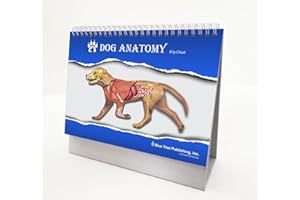 BLUE TREE PUBLISHING Dog Veterinary Anatomy Flip Charts, Anatomy & Veterinary Physiology Canine Workbook -36 Pages - 8." x 5" - for Vet Nurses and Students