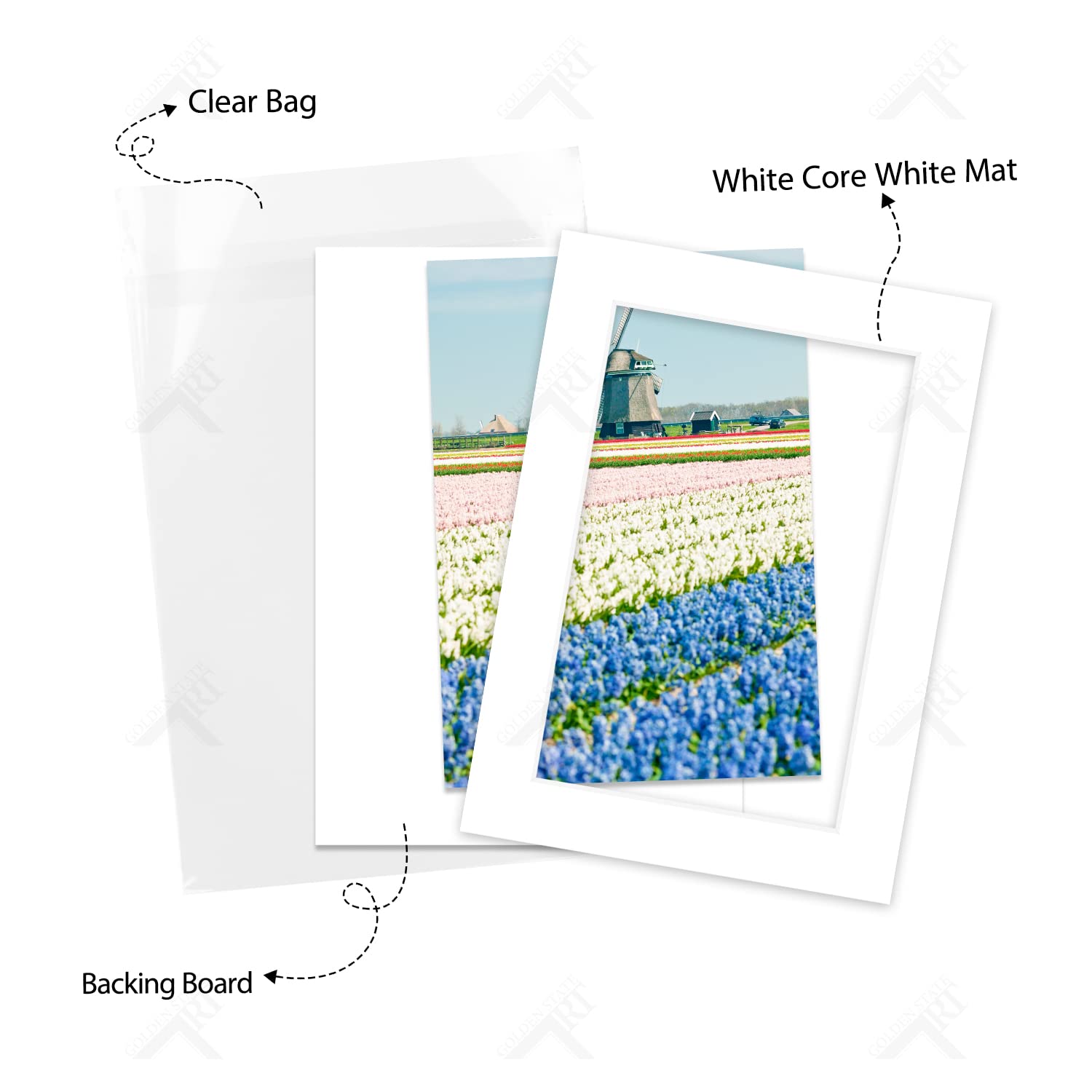 Golden State Art, Acid Free, Pack of 10 5x7 White Picture Mats Mattes with White Core Bevel Cut for 4x6 Photo + Backing + Bags