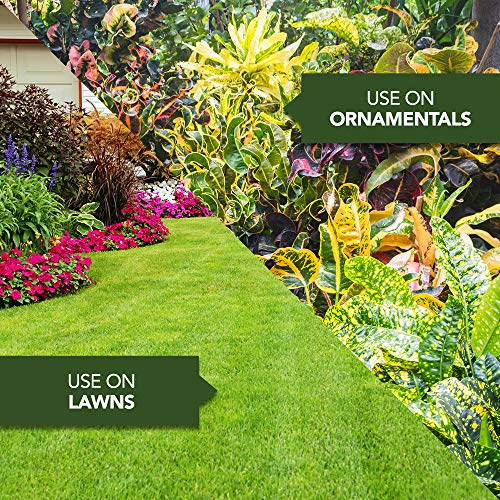 BioAdvanced 704100B Bermuda Grass Weed Killer Bermudagrass Control For