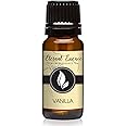 Vanilla Premium Grade Fragrance Oil - 10ml - Scented Oil