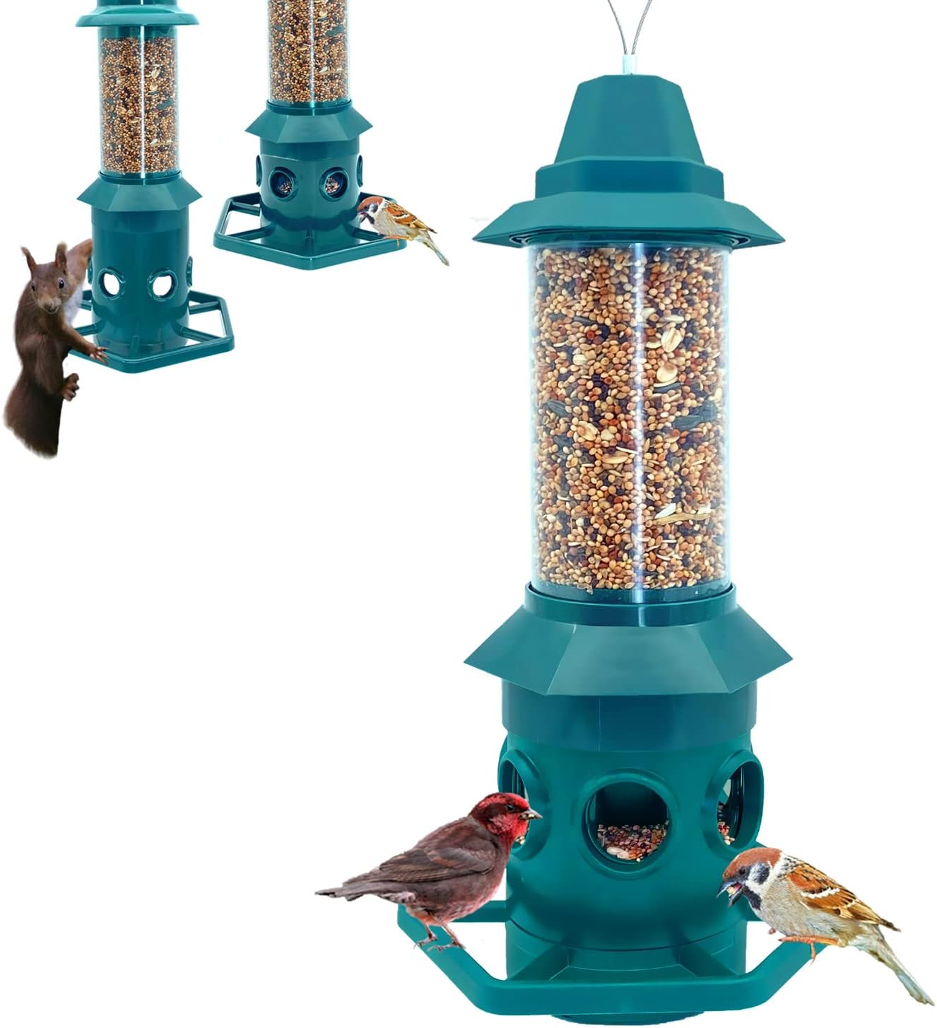 Backyard Birding & Wildlife - Squirrel Proof Bird Feeder for Outdoors Hanging Gravity Protection Squirrel Proof Wild Bird Feeders for Outside