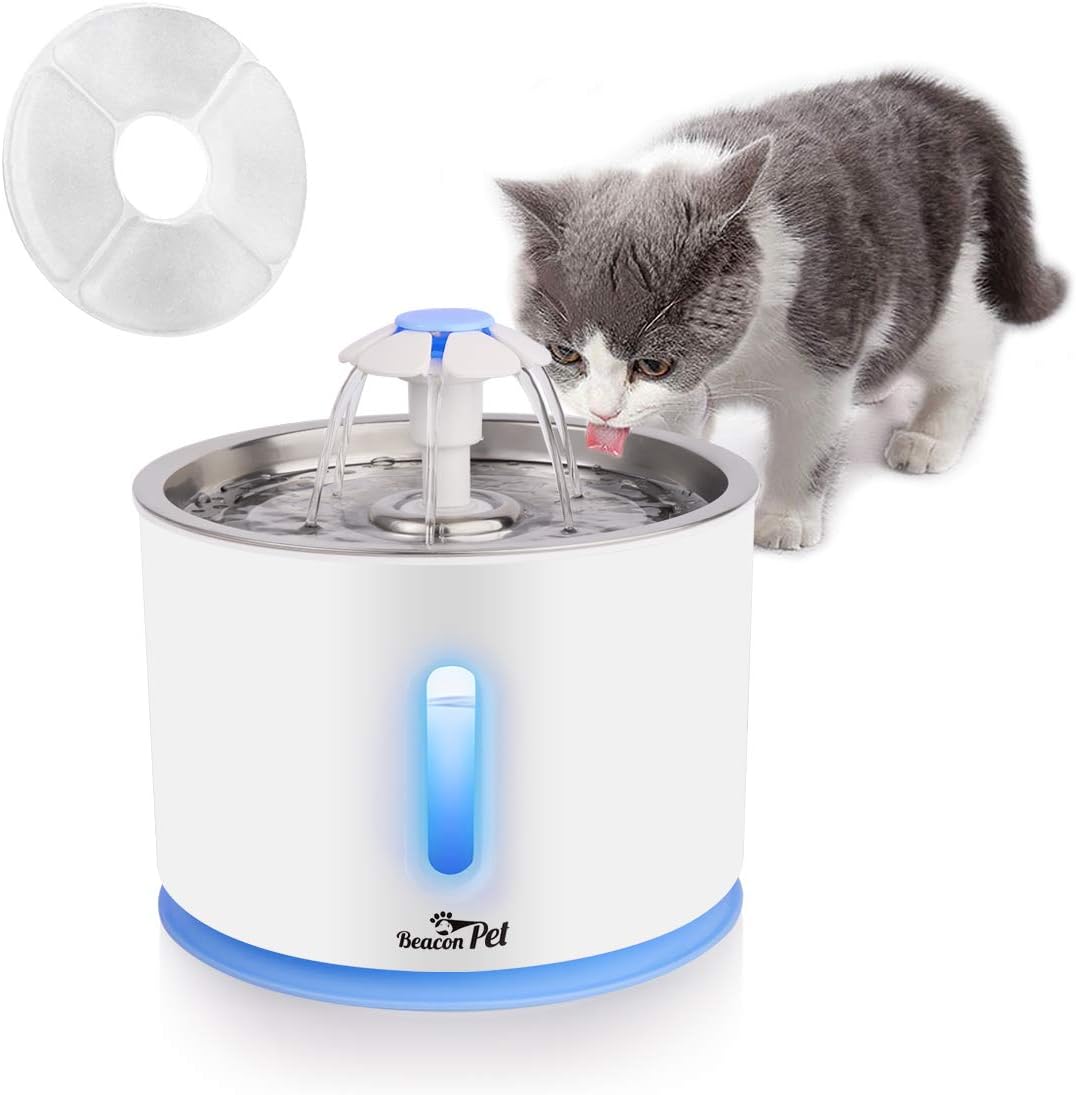 cat dog water fountain