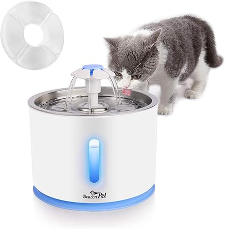 stainless steel dog water dispenser