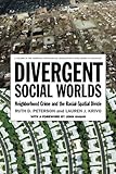 Divergent Social Worlds: Neighborhood Crime and the Racial-Spatial Divide (American Sociological Association's Rose Series)