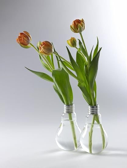 Edison Light Bulb Vase Medium H 16 Cm Amazon Co Uk Kitchen Home