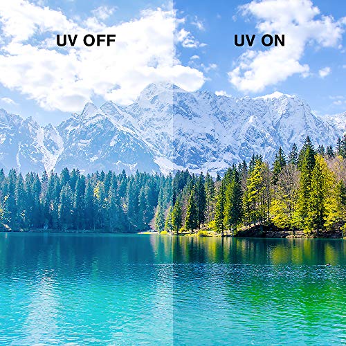 6 Trendloader+Sigma+Smart+Sunglasses+Panther