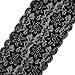 Trimscraft 3 Yards Stretch Lace Trims Elastic Fabric for Garment and DIY Craft Supply (Black)