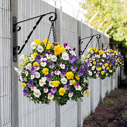 Hanging Plants Bracket 12 Wall Planter Hook Flower Pot Bird